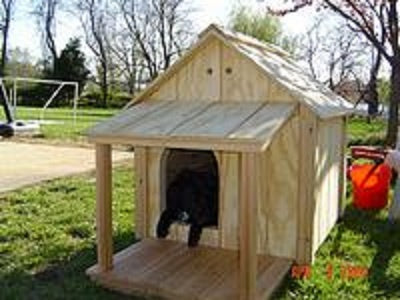 Dog House plan