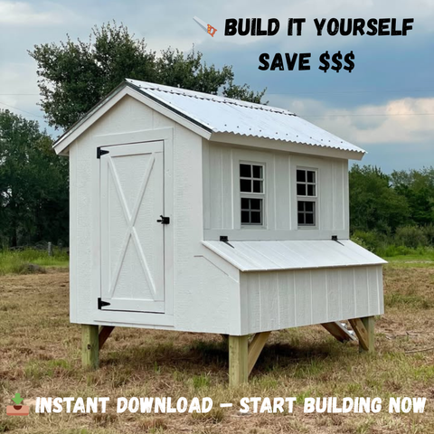 Chicke Coop plan